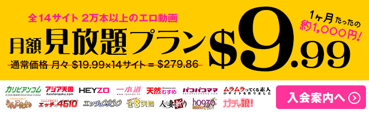 【Hey動画】人気14サイト月額約1,000円でずっーと見放題プラン販売中!【数量限定】